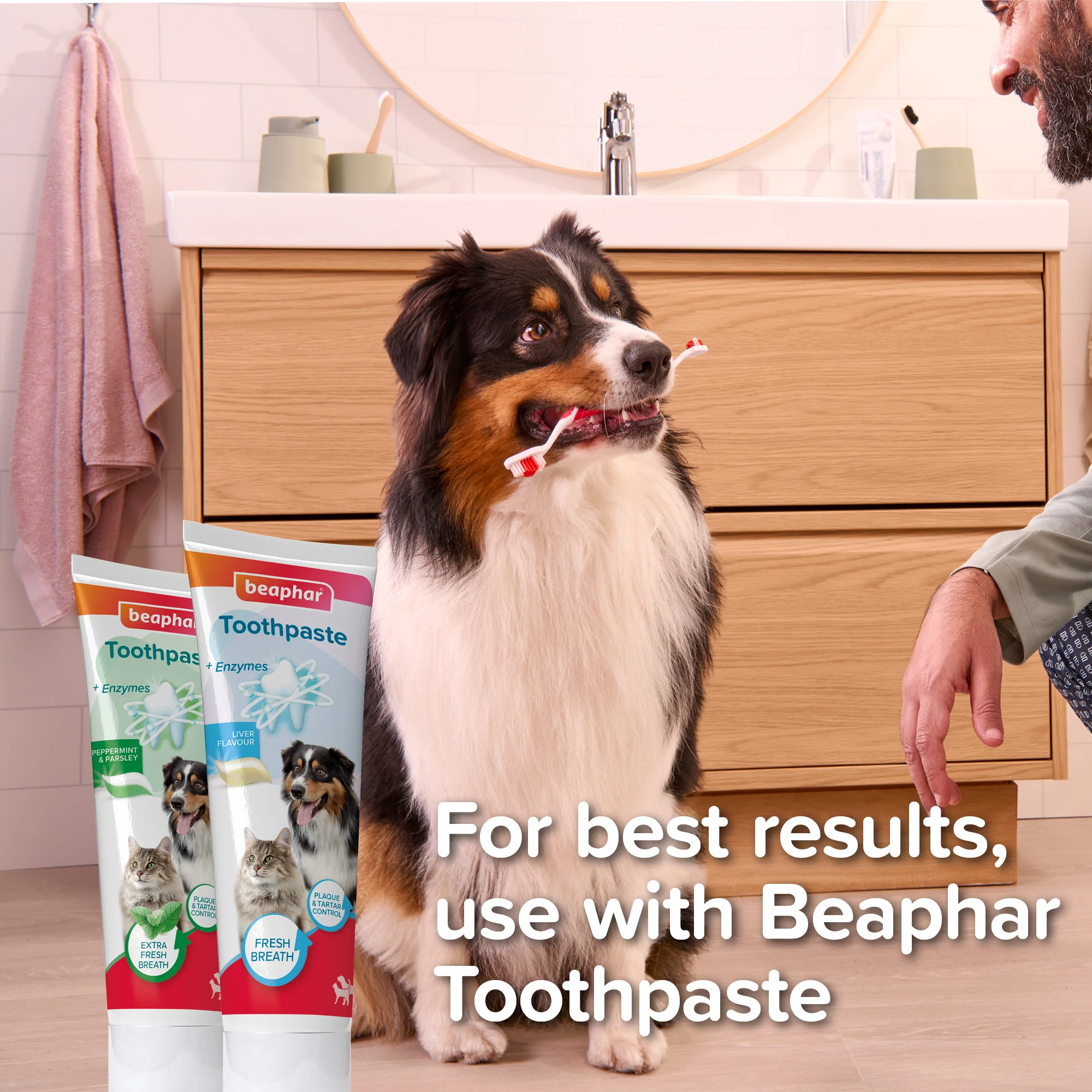 Beaphar Toothbrush for Dog & Cat - Image 4