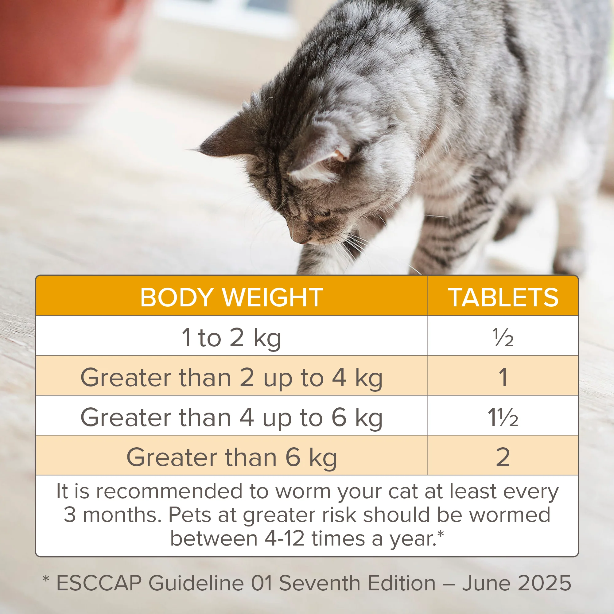Beaphar WORMclear Cat Tablets - Image 5