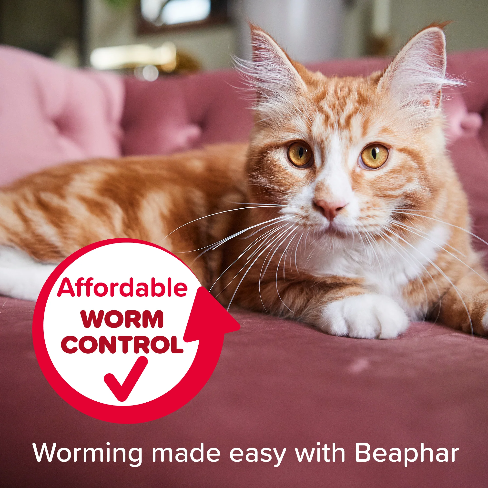 Beaphar WORMclear Cat Tablets - Image 6