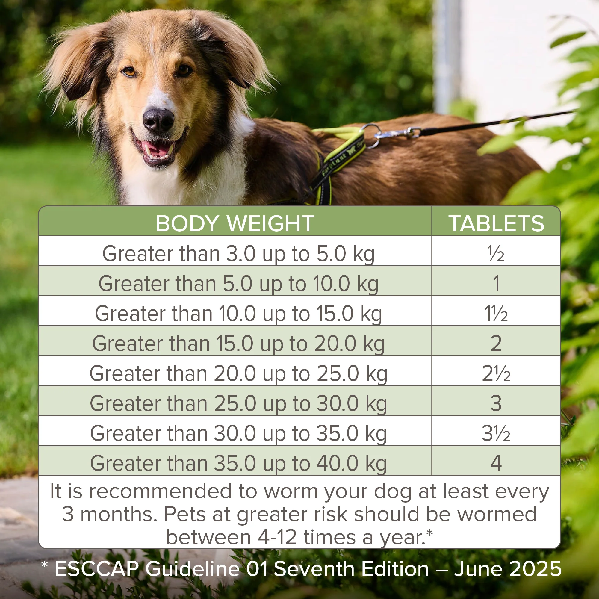 Beaphar WORMclear for Large Dog upto 40kg - Image 2