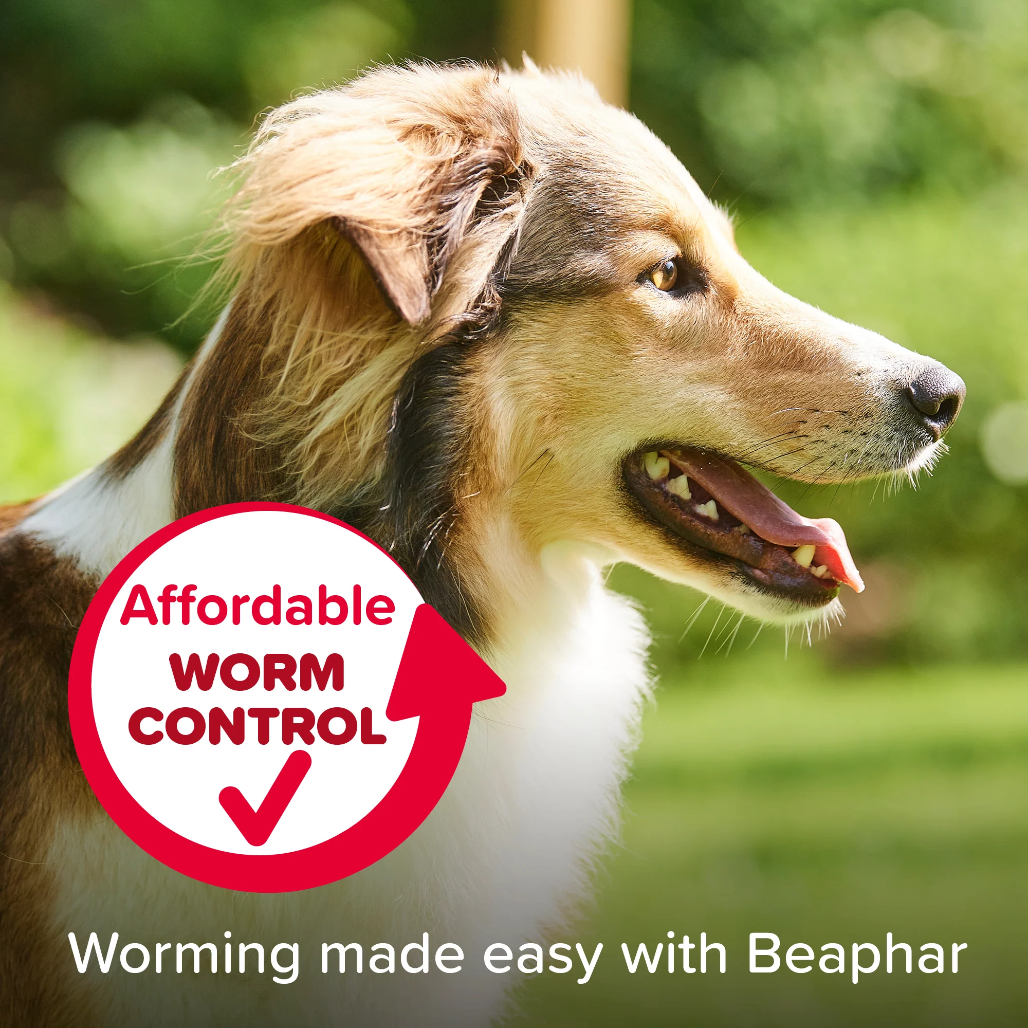 Beaphar WORMclear for Large Dog upto 40kg - Image 5