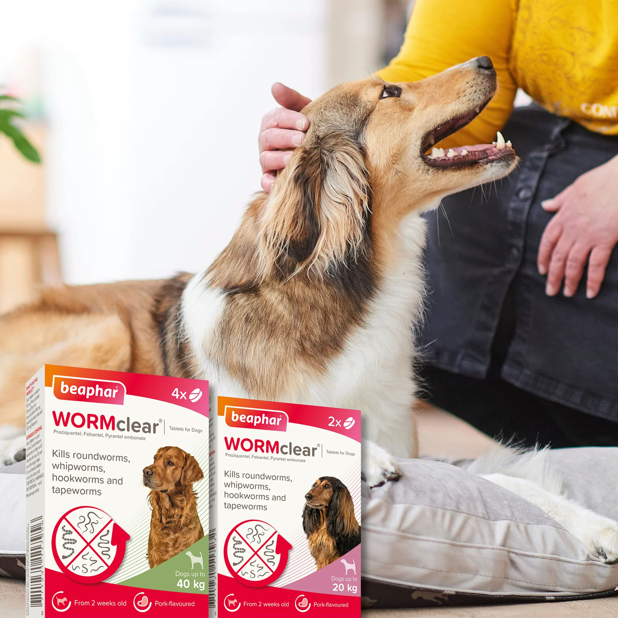 Beaphar WORMclear for Large Dog upto 40kg - Image 6