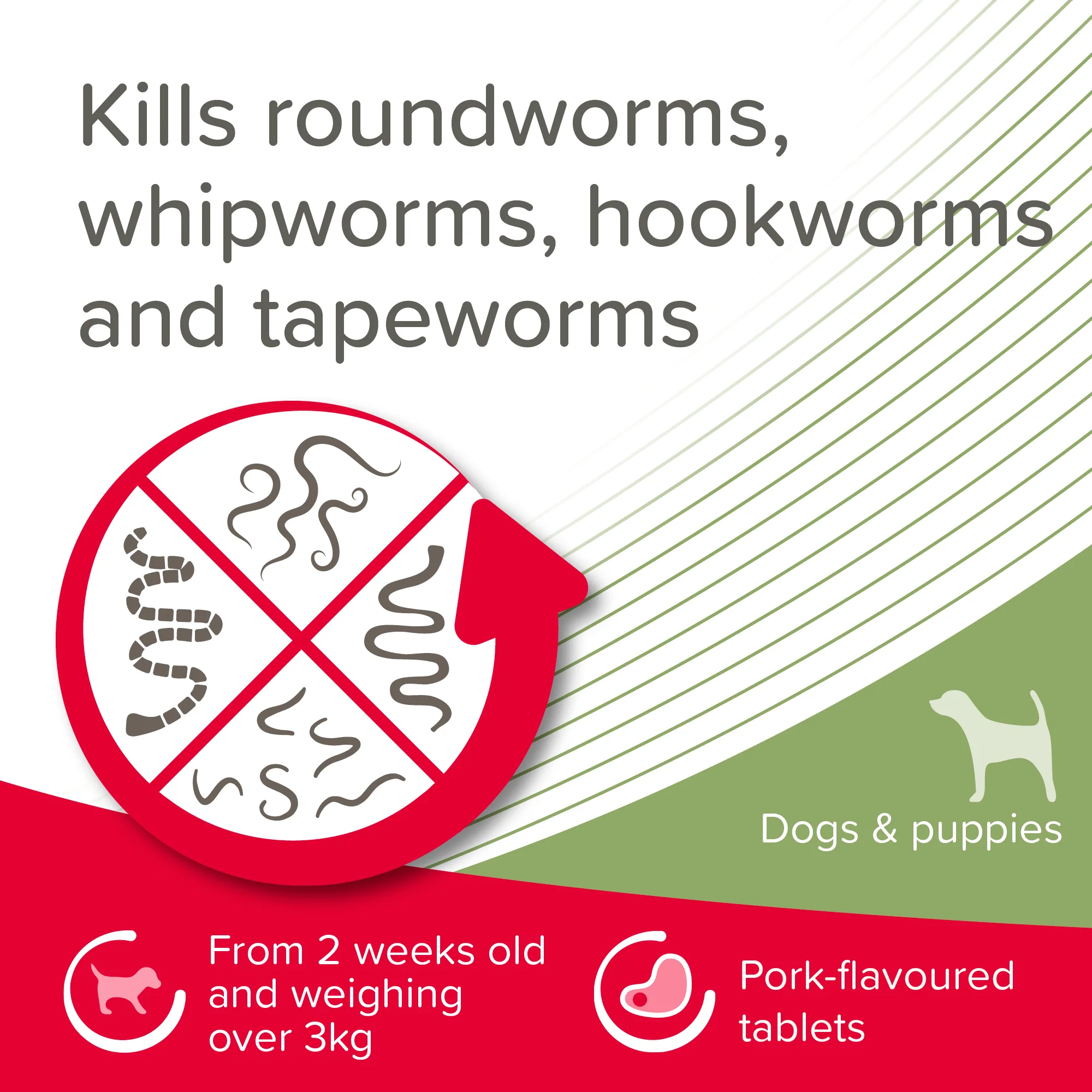 Beaphar WORMclear for Large Dog upto 40kg - Image 8