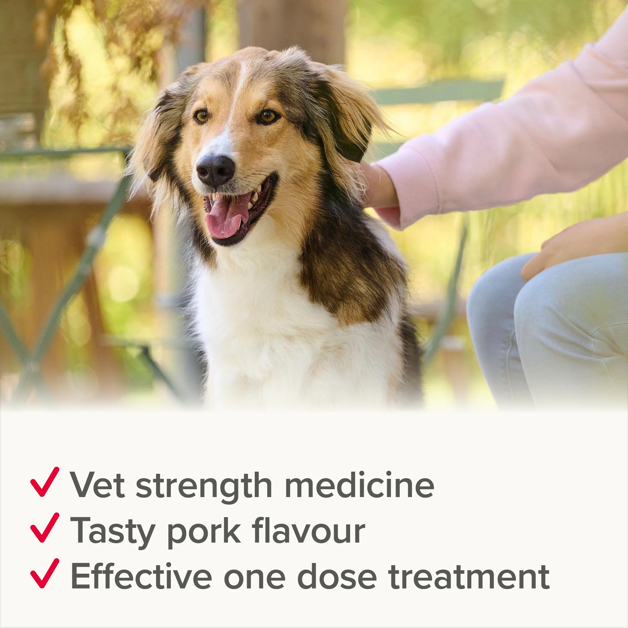 Beaphar WORMclear for Large Dog upto 40kg - Image 9