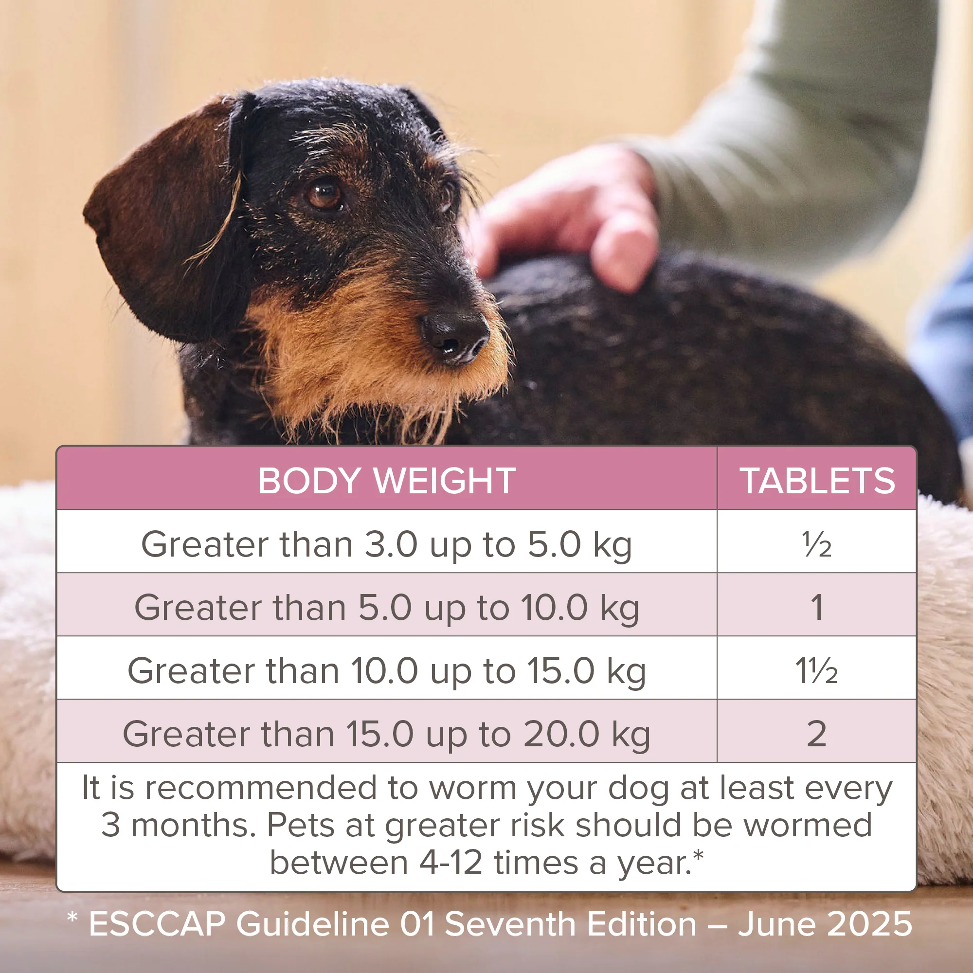 Beaphar WORMclear for Small & Medium Dog upto 20kg - Image 2