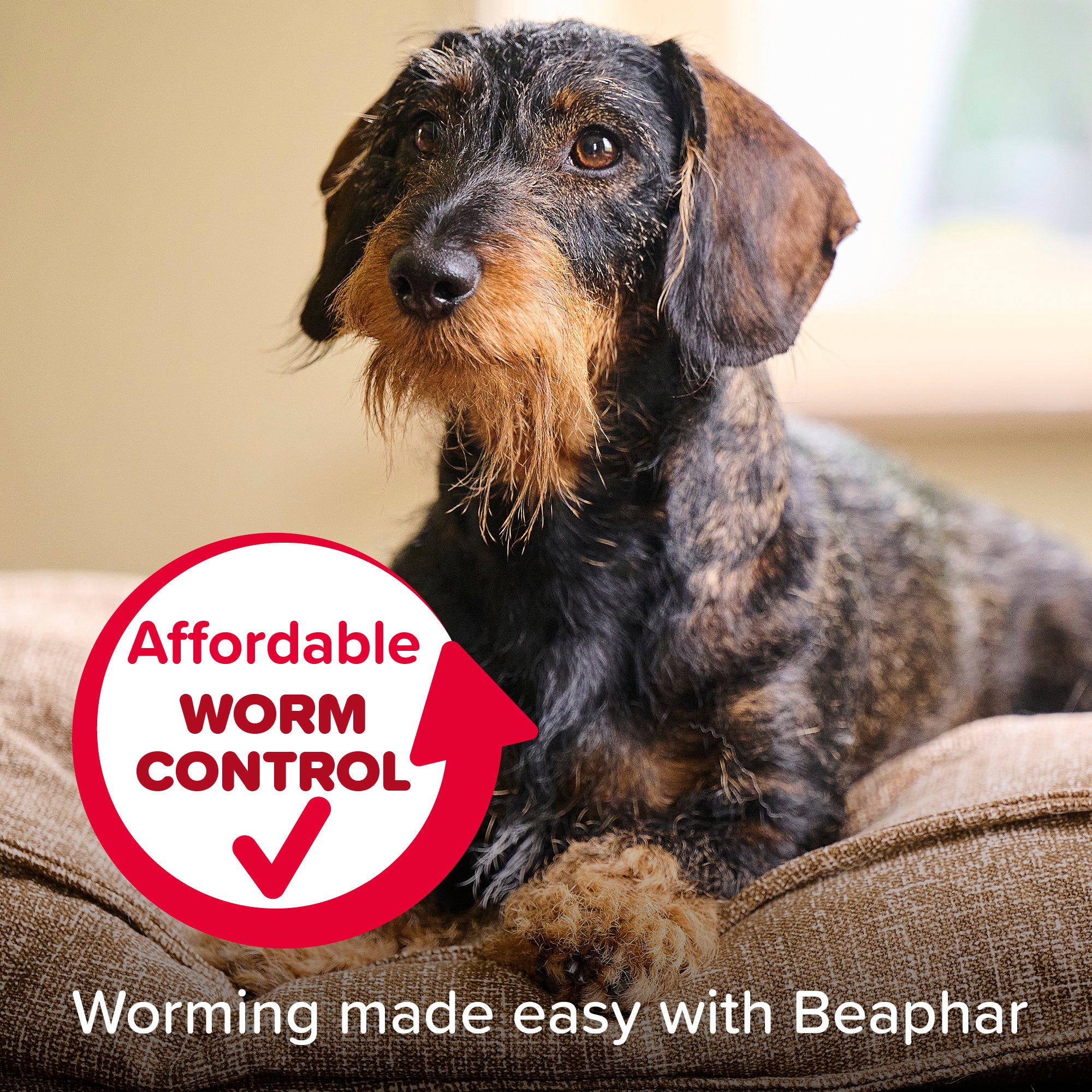 Beaphar WORMclear for Small & Medium Dog upto 20kg - Image 4