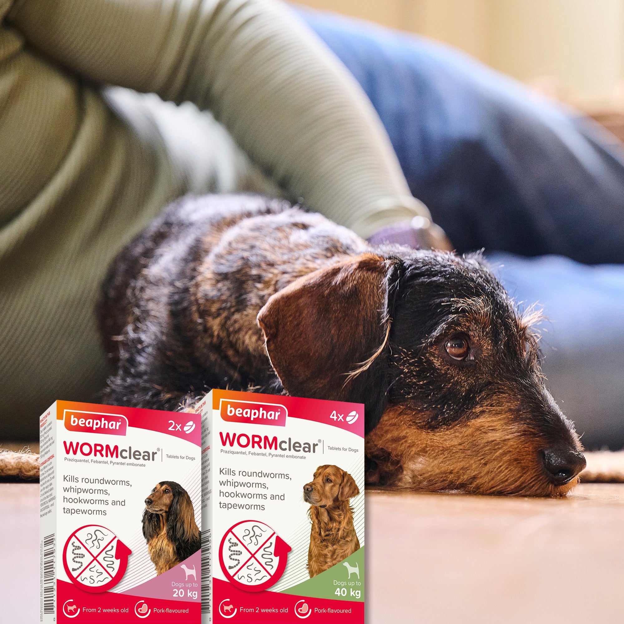 Beaphar WORMclear for Small & Medium Dog upto 20kg - Image 5