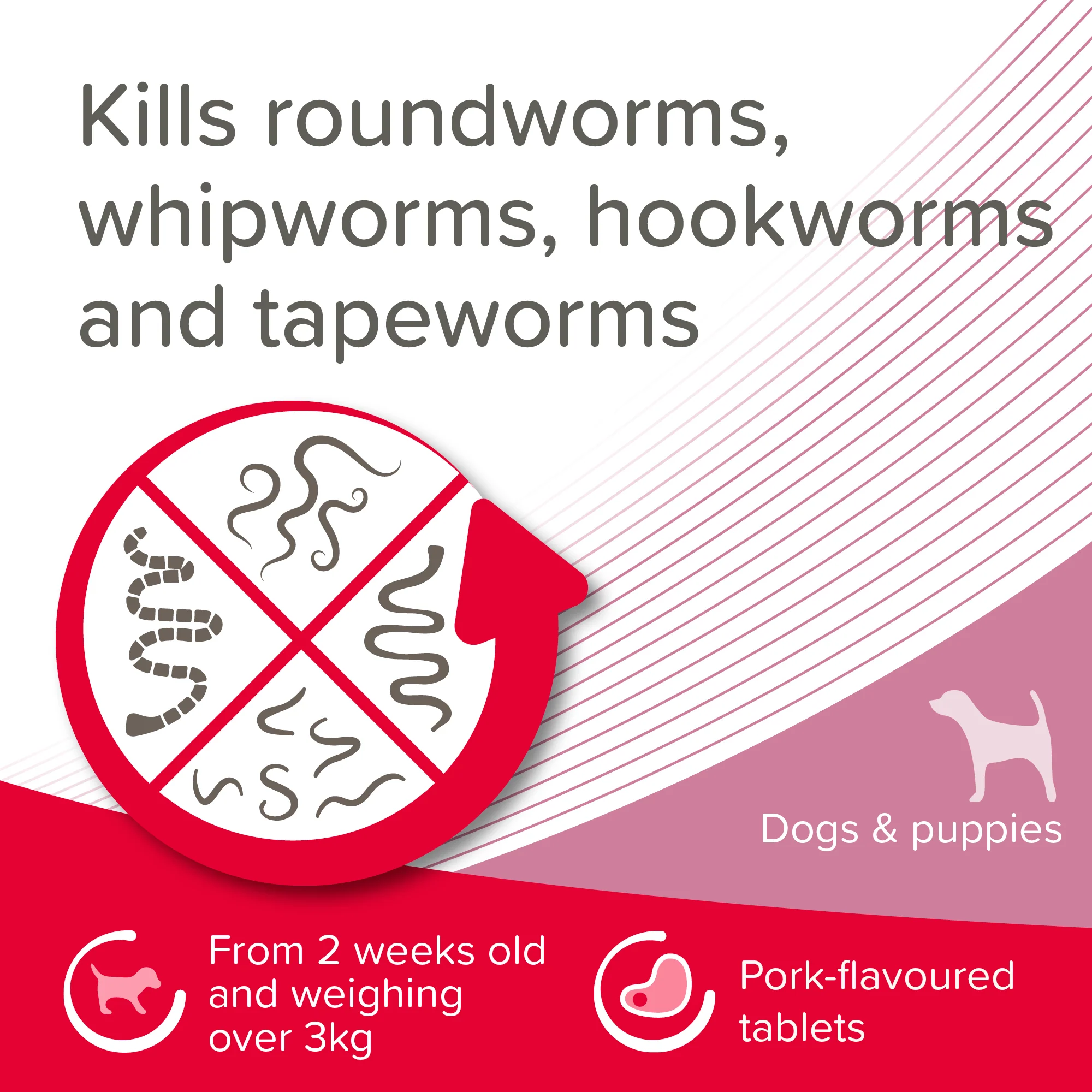 Beaphar WORMclear for Small & Medium Dog upto 20kg - Image 8