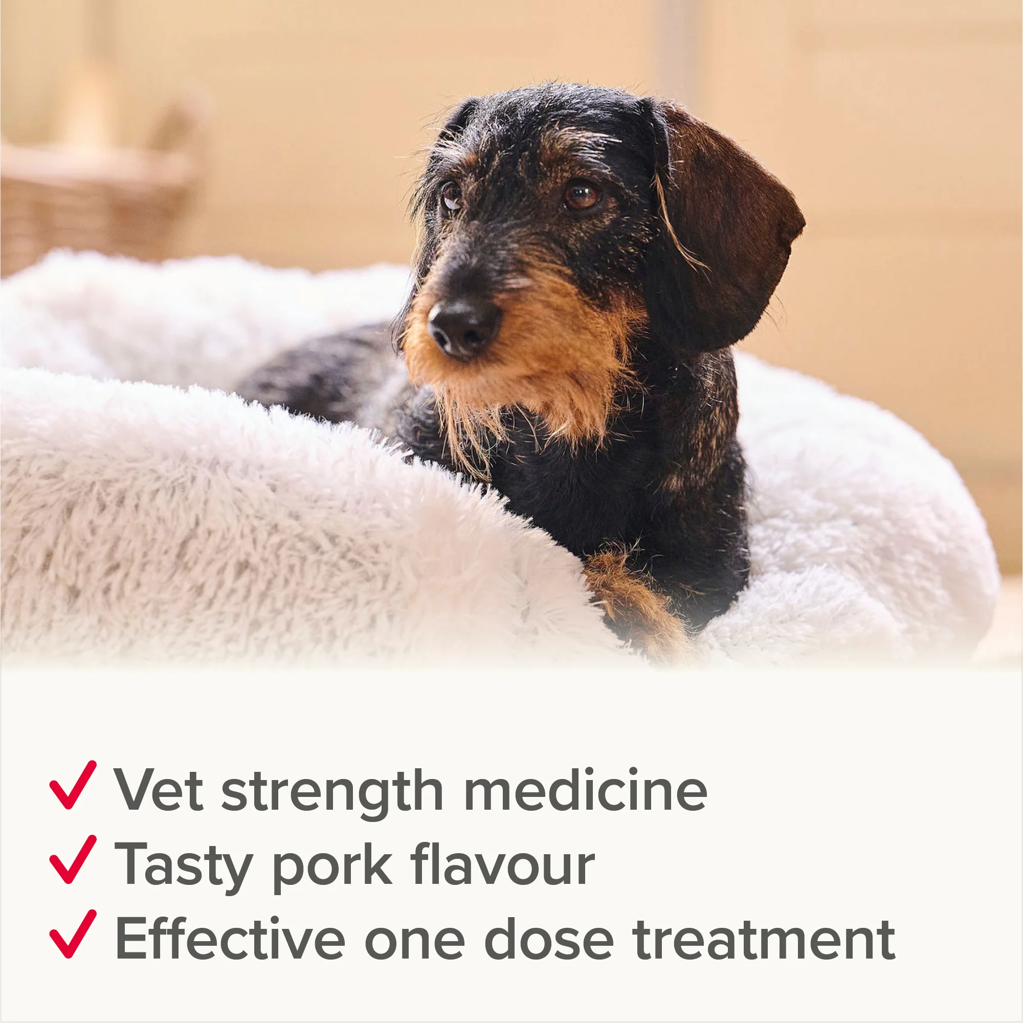 Beaphar WORMclear for Small & Medium Dog upto 20kg - Image 9