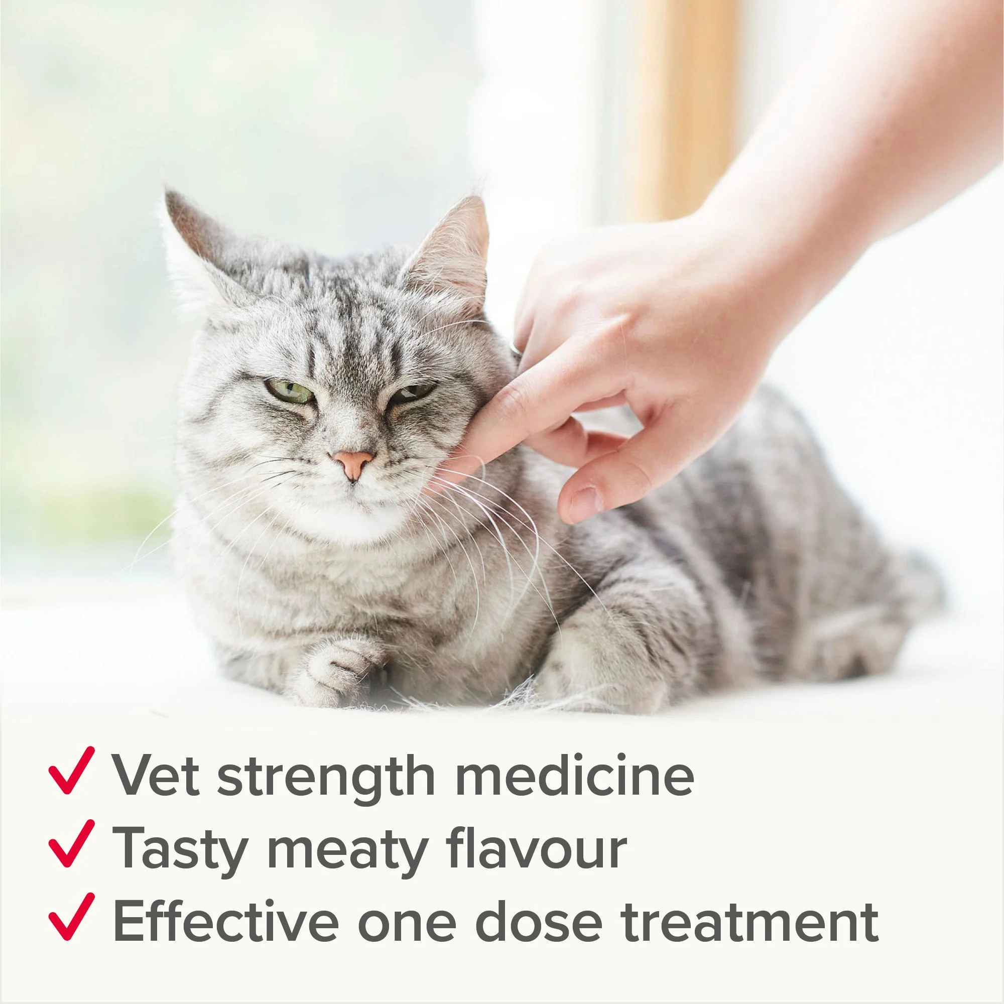 Beaphar WORMclear Tablets for Cats - Image 5