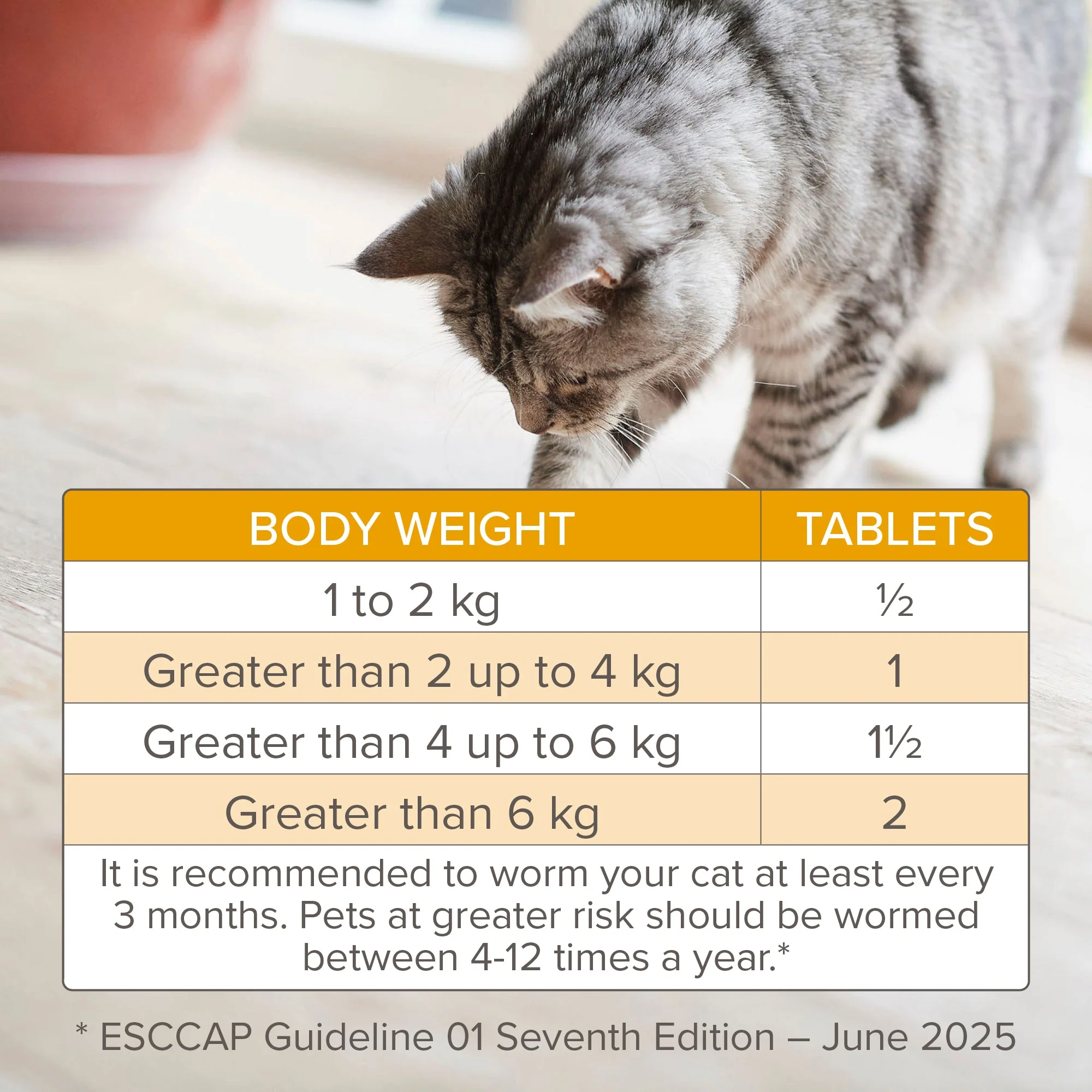 Beaphar WORMclear Tablets for Cats - Image 7