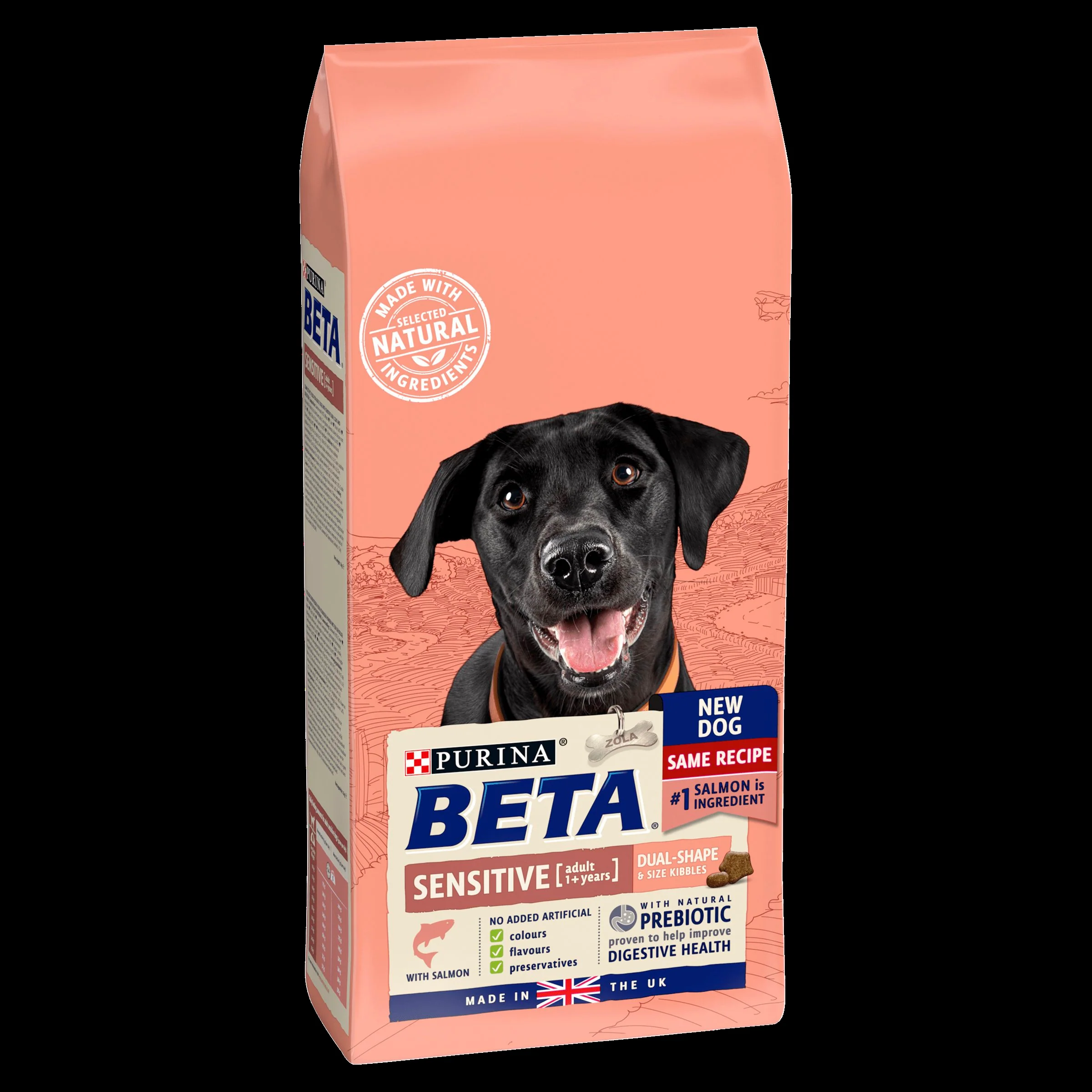 BETA Sensitive Adult Dry Dog Food - Salmon & Rice - Image 3