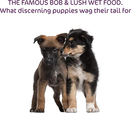 Bob and Lush Grain-free Puppy Wet Dog Food in Tin - Lamb - Image 6