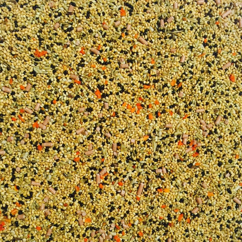 Bucktons Budgerigar Food with Spiralife - Image 2