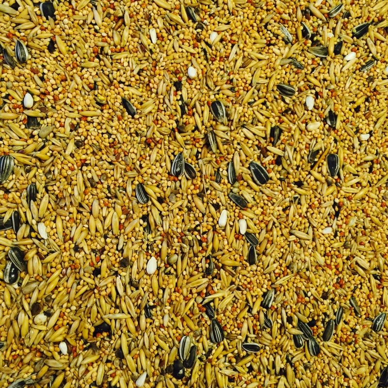 Bucktons Cockatiel & Lovebird Food - Image 2
