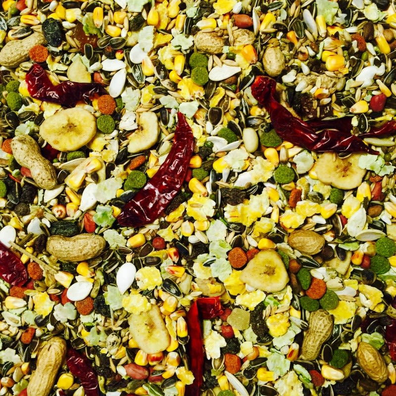 Bucktons Fruity Parrot Blend Elite Parrot Food - Image 2