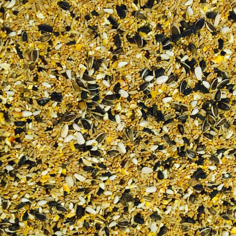 Bucktons Large Parakeet Bird Food - Image 2