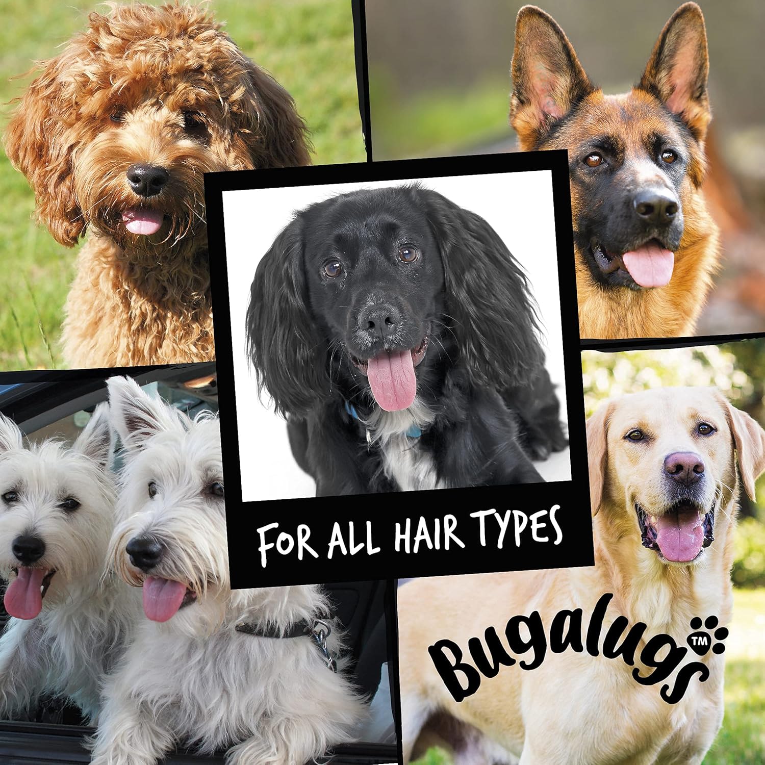 Bugalugs 4 In 1 Dog Shampoo - Lavender & Chamomile - Image 3