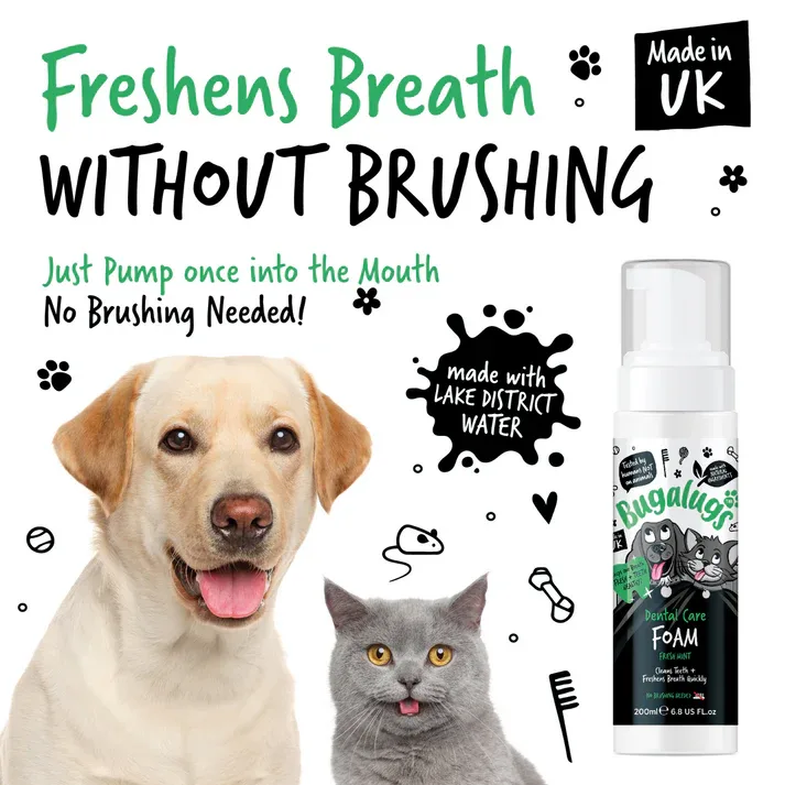 Bugalugs Dental Care Foam for Dogs & Cats - Fresh Mint - Image 3
