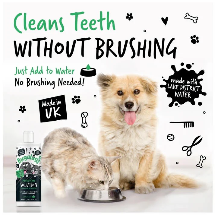 Bugalugs Dental Care Solution Water Additive for Dogs & Cats - Image 2