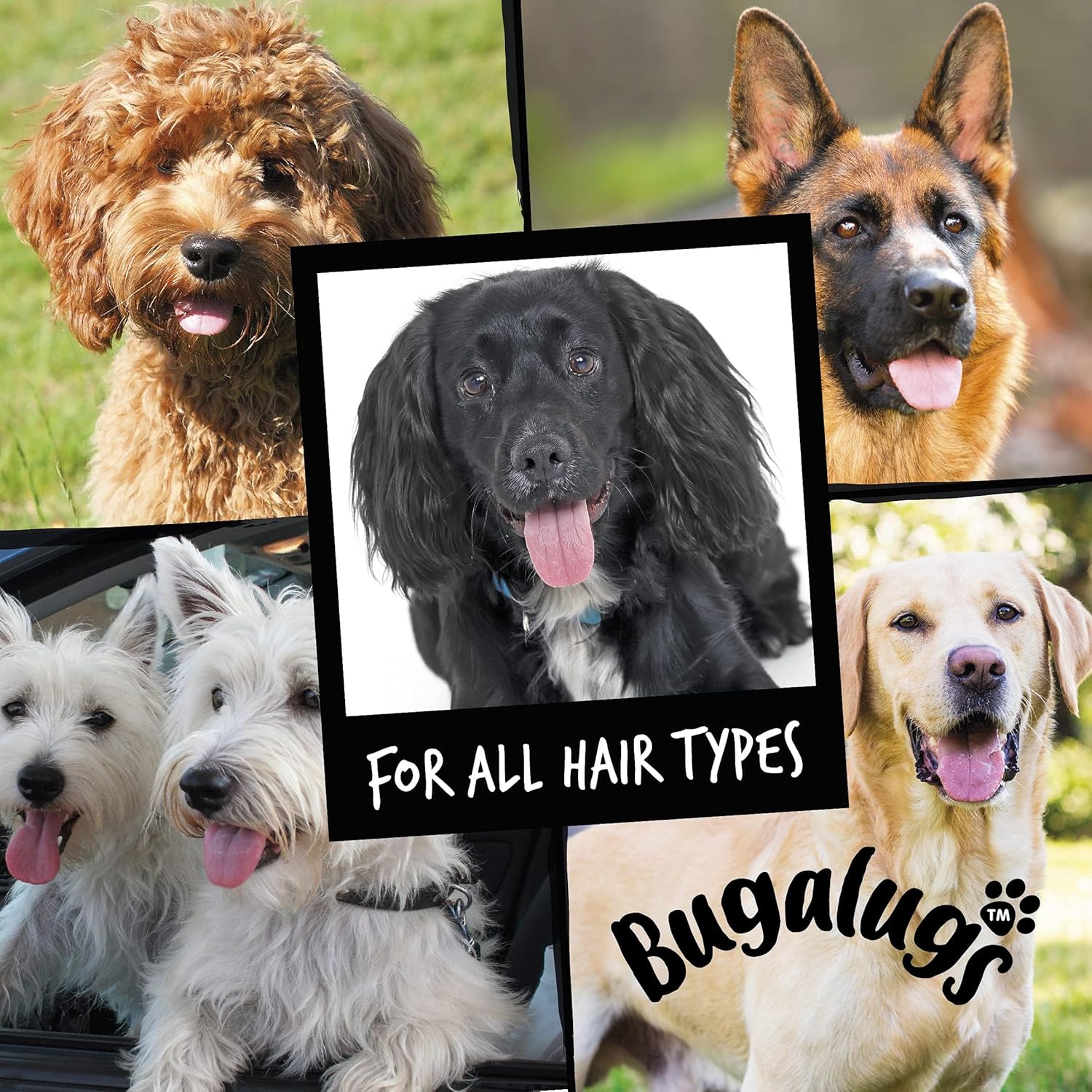 Bugalugs One in a Million Dog Cologne - Image 2