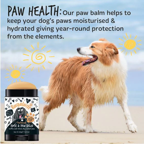 Bugalugs Paw & Nose Balm Stick for Dogs with Coconut & Oatmeal - Image 5