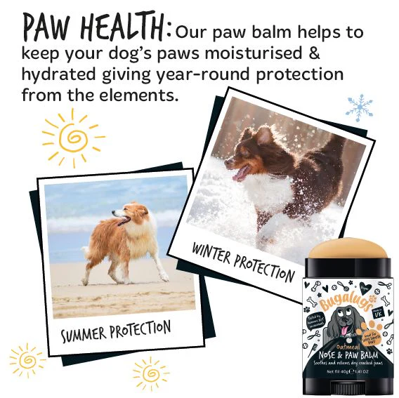 Bugalugs Paw & Nose Balm Stick for Dogs with Coconut & Oatmeal - Image 6