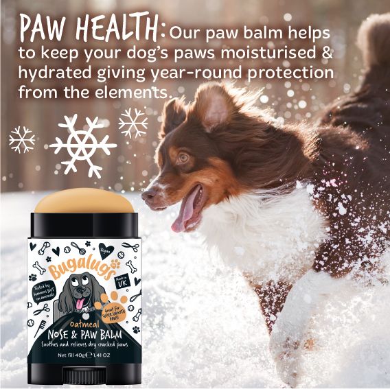 Bugalugs Paw & Nose Balm Stick for Dogs with Coconut & Oatmeal - Image 7