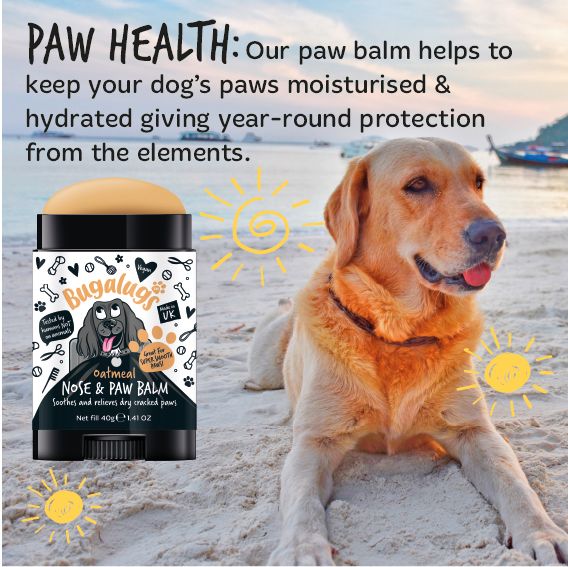 Bugalugs Paw & Nose Balm Stick for Dogs with Coconut & Oatmeal - Image 8