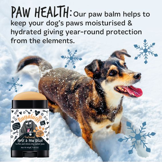 Bugalugs Paw & Nose Balm Stick for Dogs with Coconut & Oatmeal - Image 9