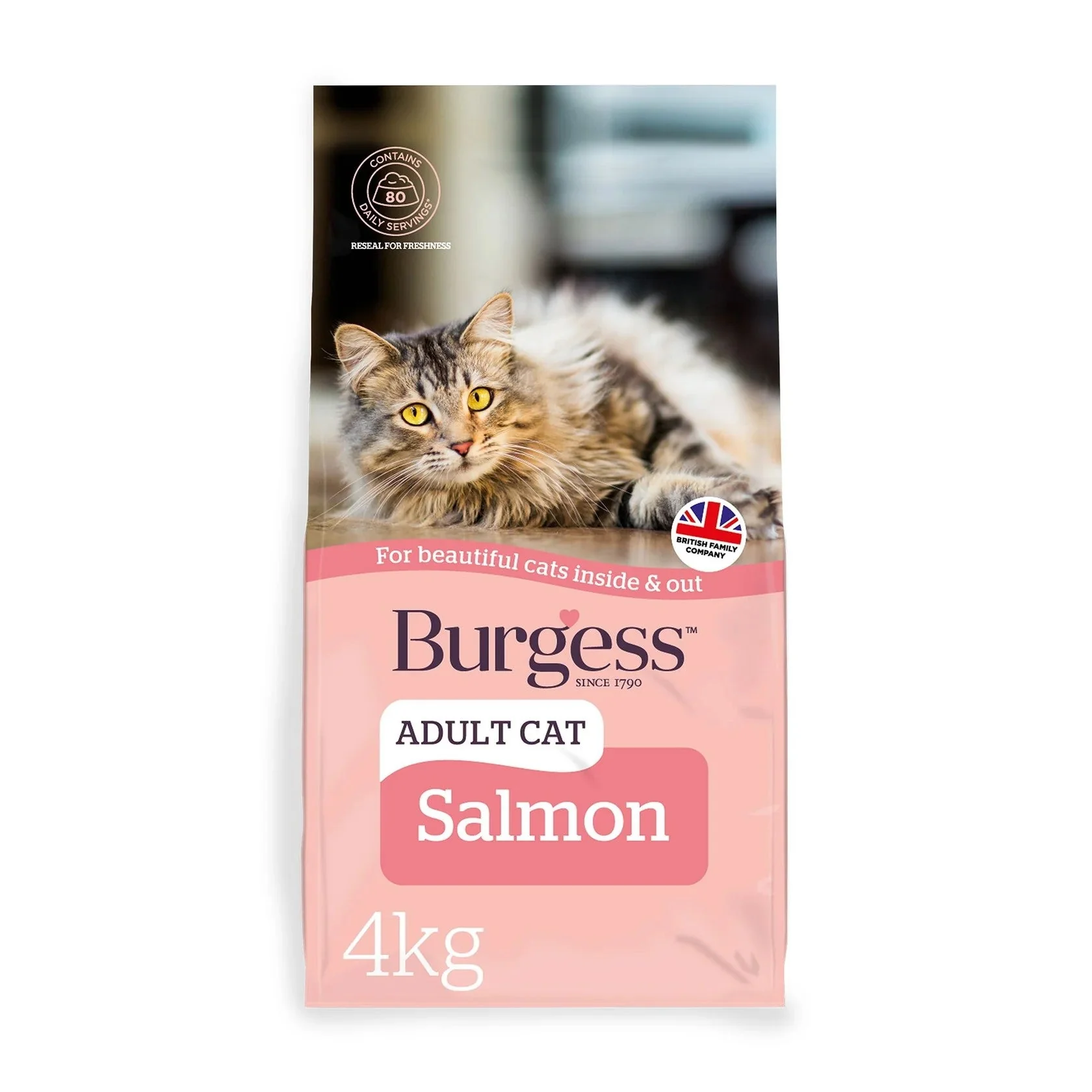Burgess Adult Cat Rich in Salmon Dry Food - Image 2