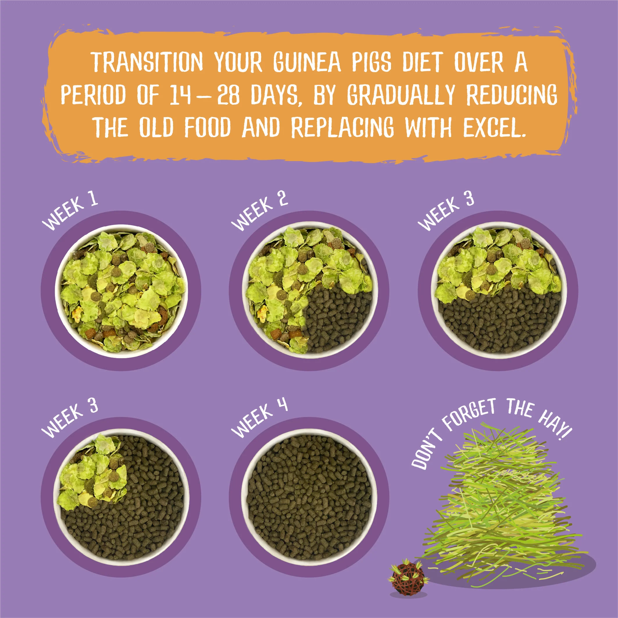 Burgess Excel Adult Guinea Pig Nuggets - Blackcurrant & Oregano - Image 5