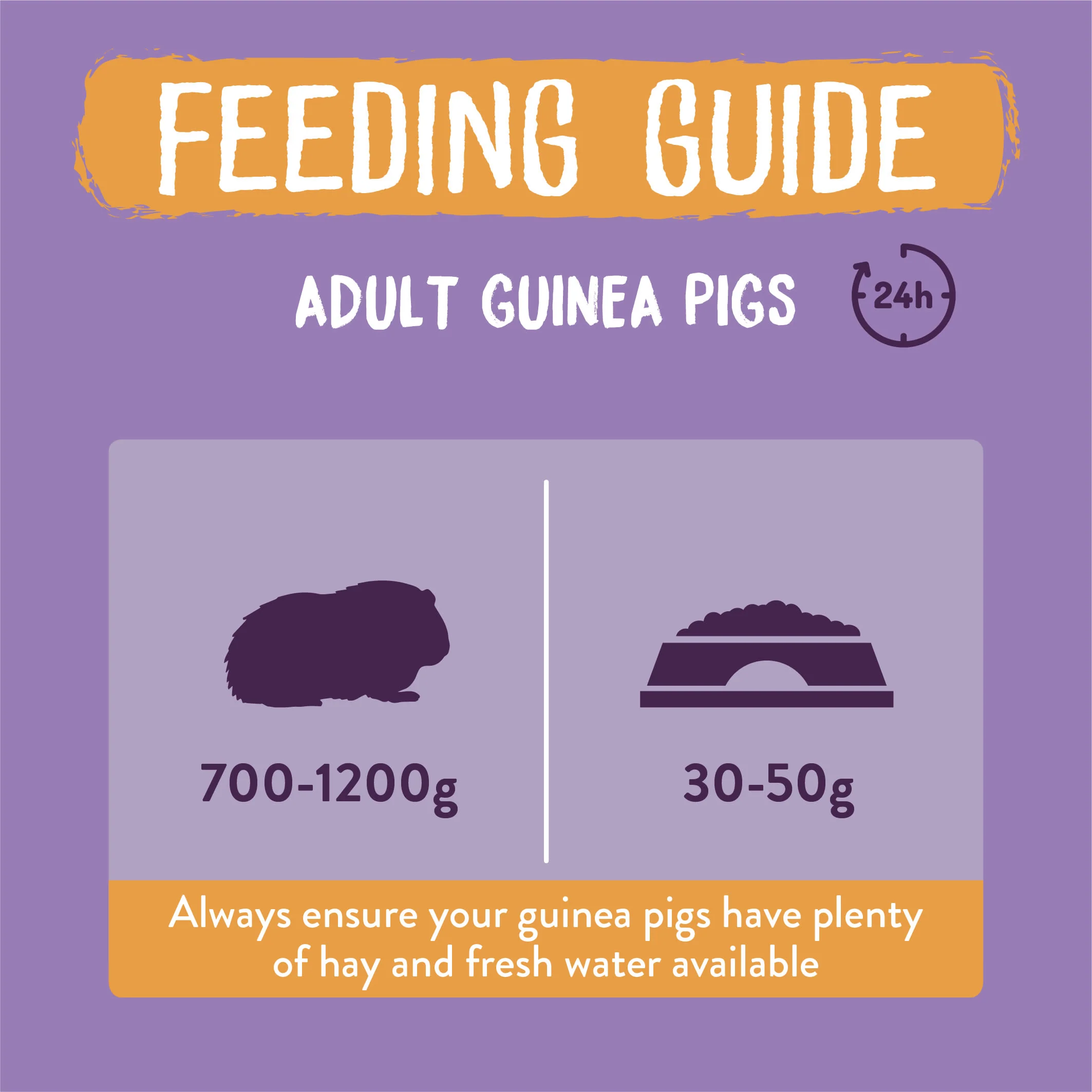 Burgess Excel Adult Guinea Pig Nuggets - Blackcurrant & Oregano - Image 6