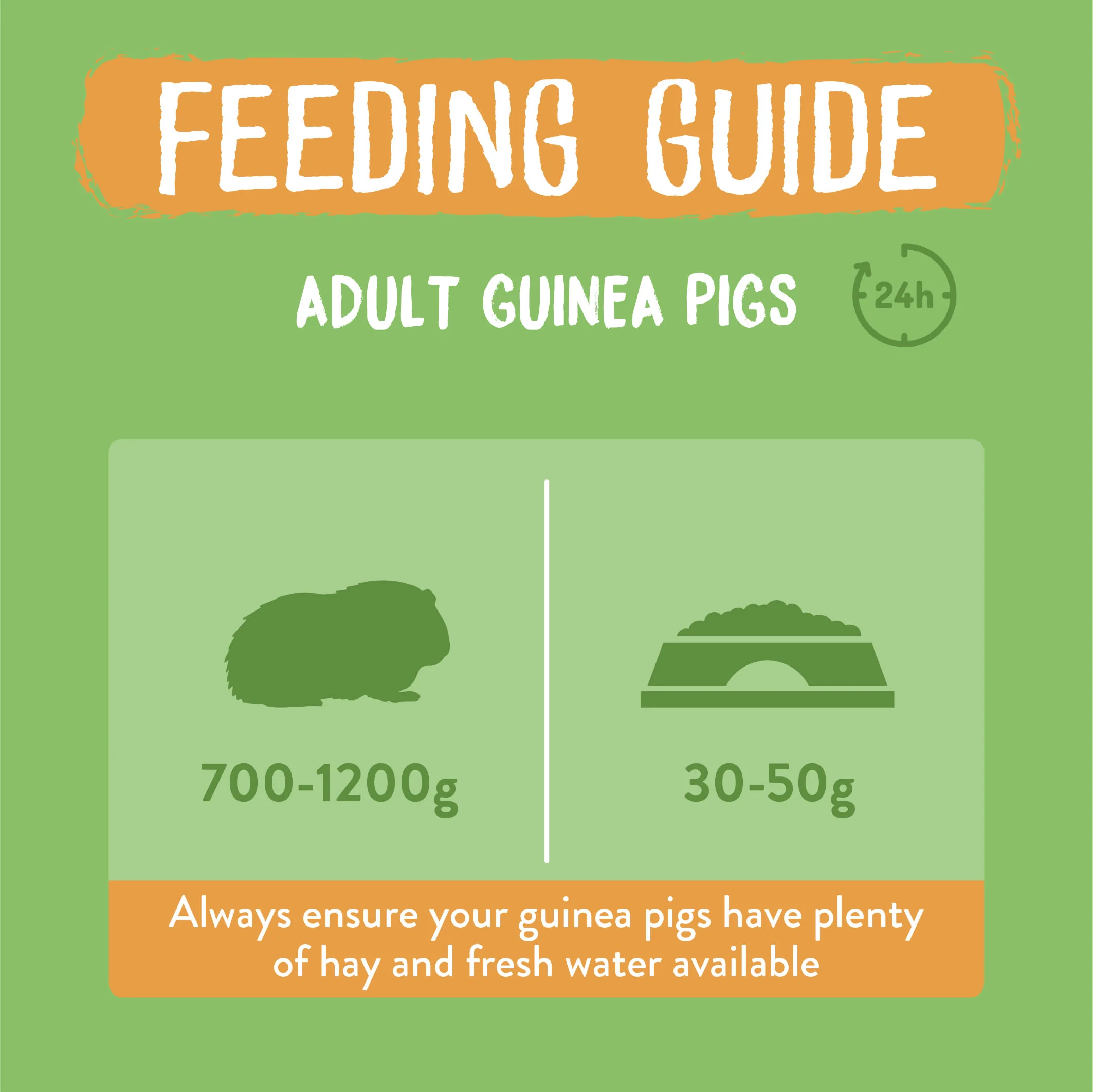 Burgess Excel Adult Guinea Pig Nuggets - Mint - Image 5