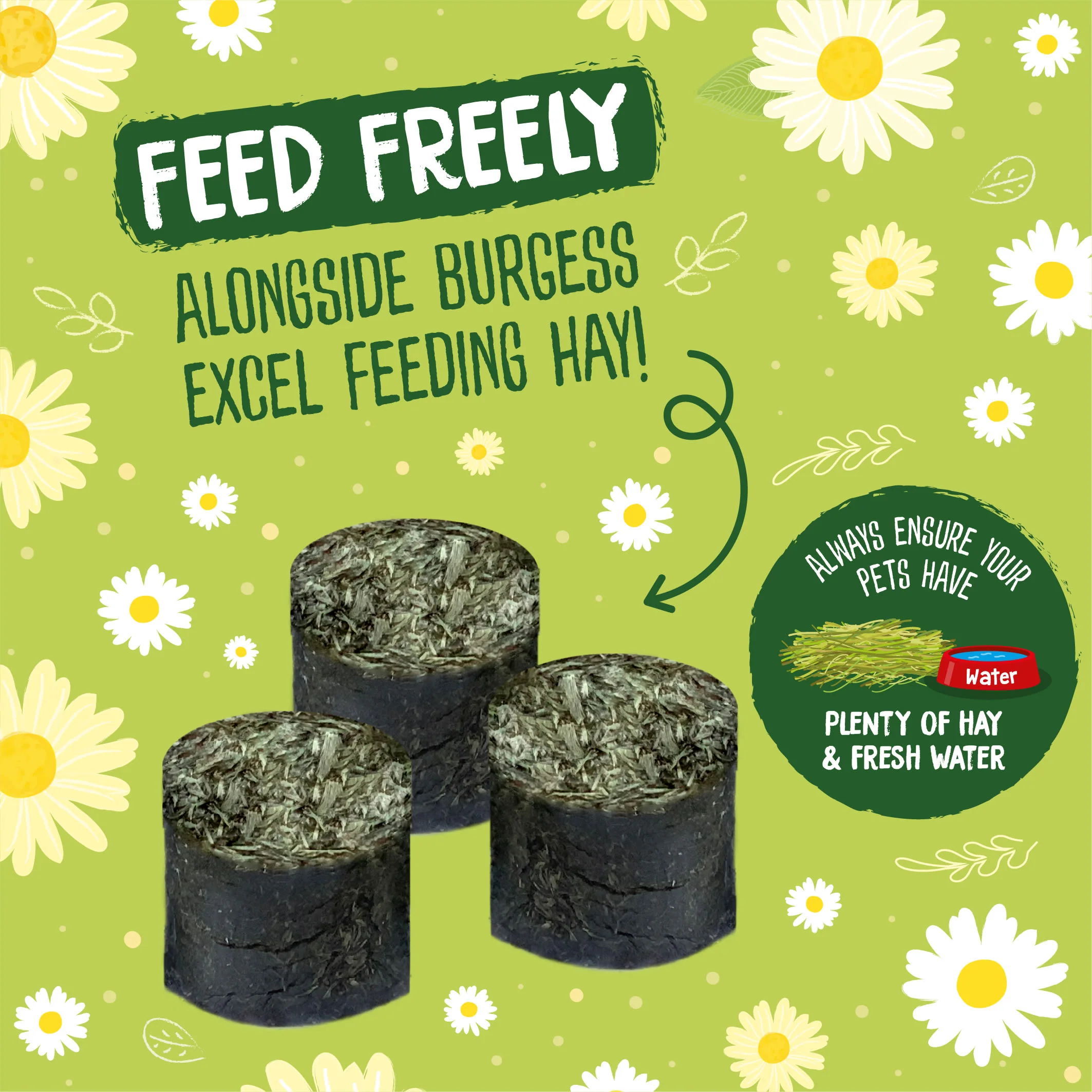 Burgess Excel Nature Snacks Meadow Munchies Hay - Dandelion & Camomile - Image 2
