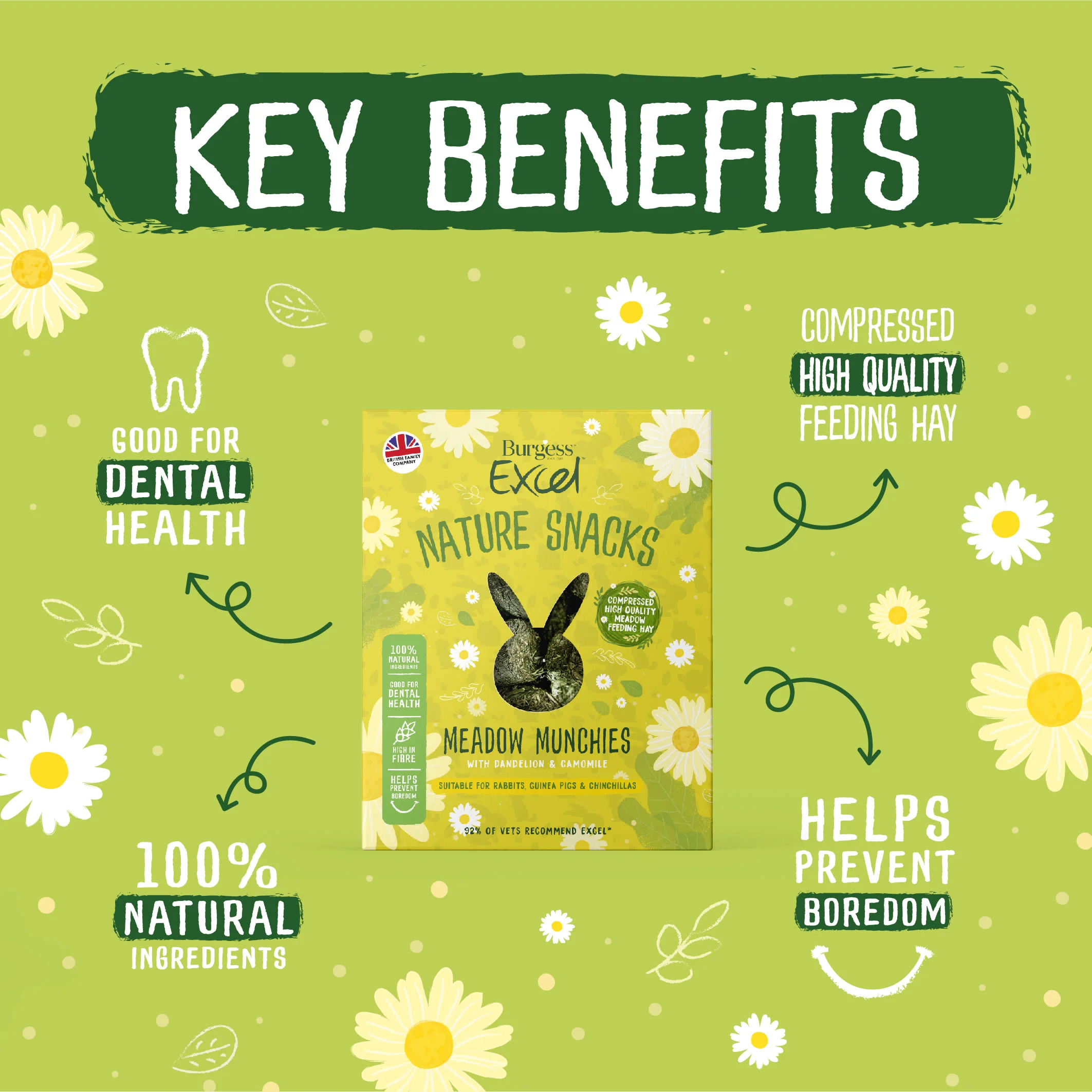 Burgess Excel Nature Snacks Meadow Munchies Hay - Dandelion & Camomile - Image 3