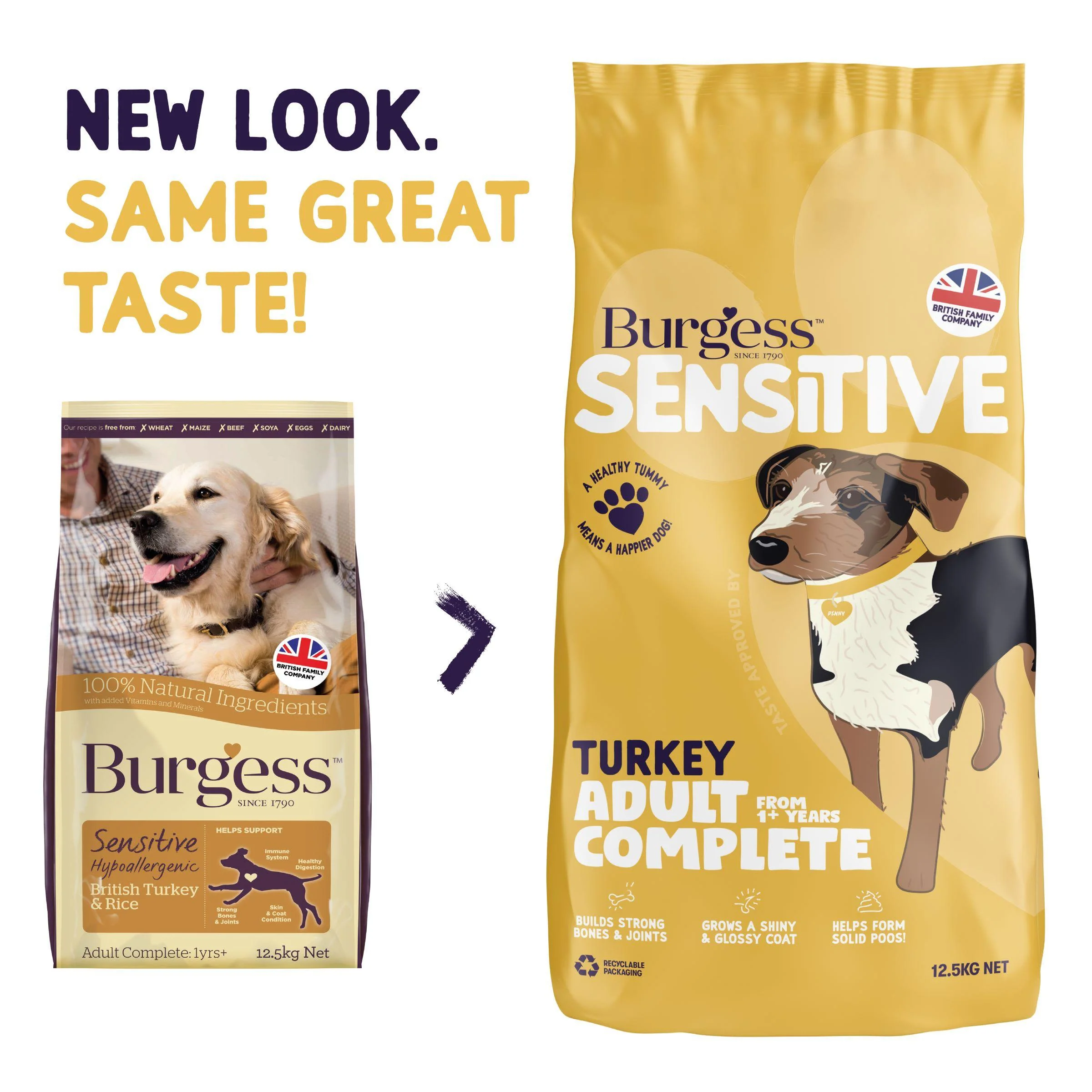 Burgess Sensitive Adult Hypoallergenic Turkey & Rice Dry Dog Food - Image 2