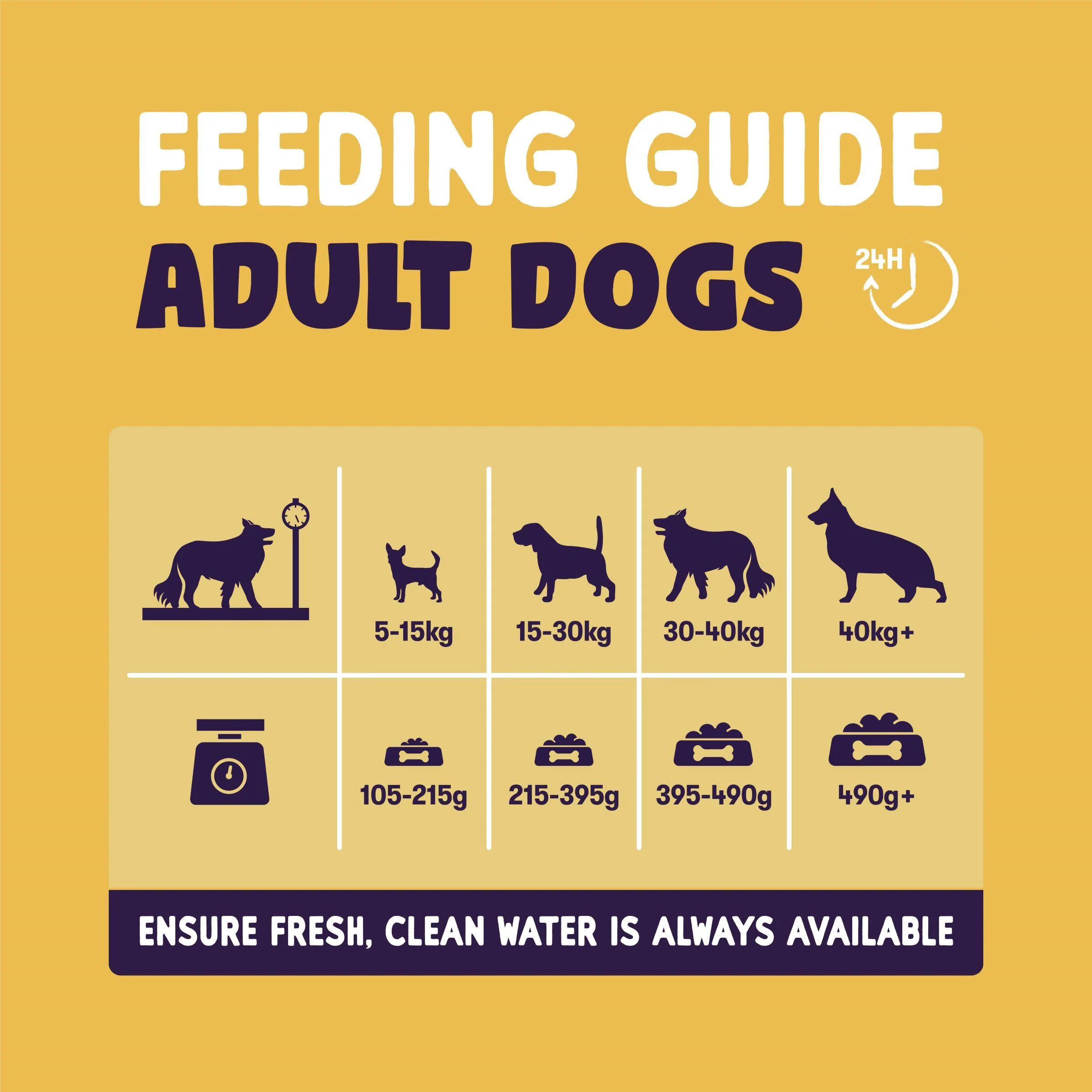 Burgess Sensitive Adult Hypoallergenic Turkey & Rice Dry Dog Food - Image 6