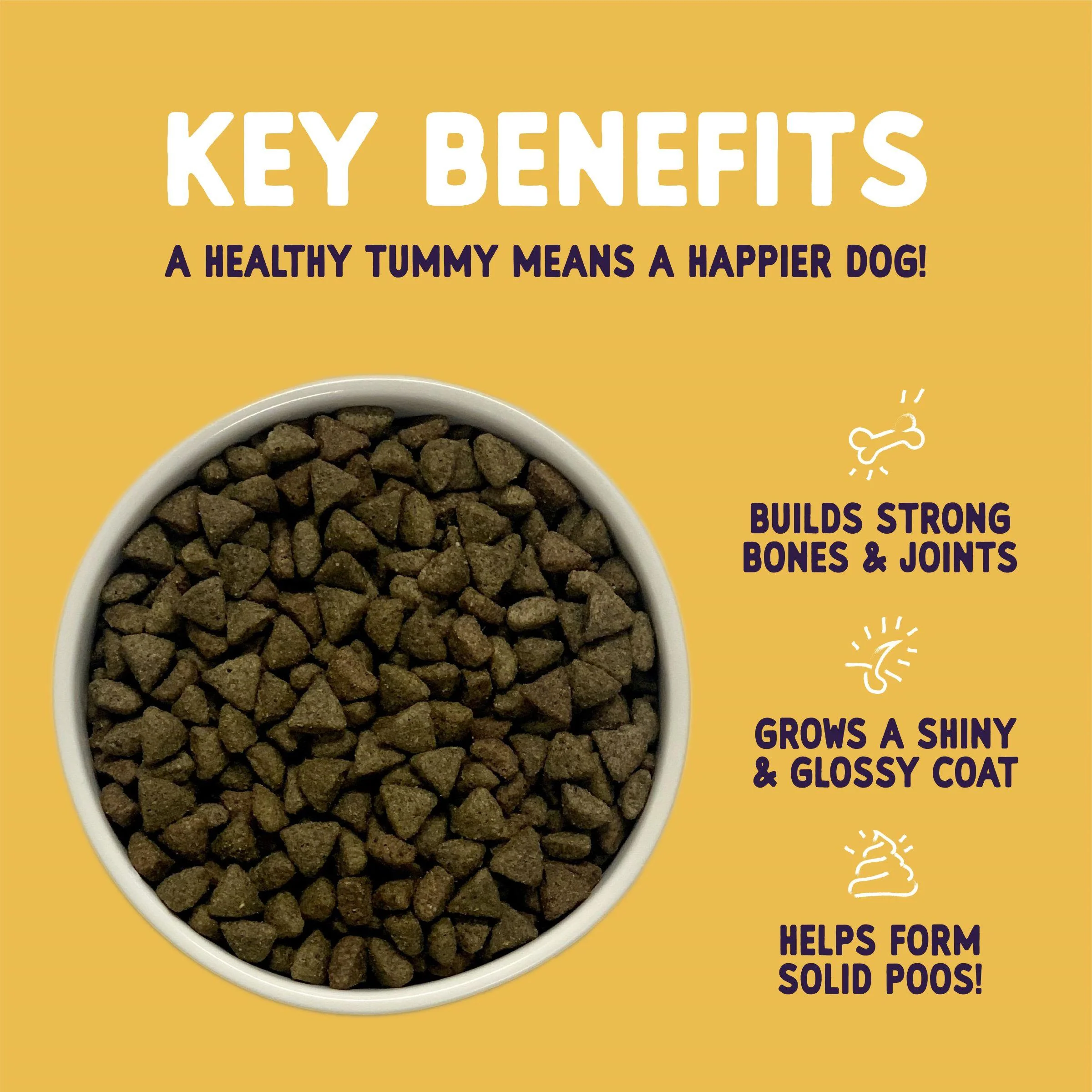 Burgess Sensitive Adult Hypoallergenic Turkey & Rice Dry Dog Food - Image 7