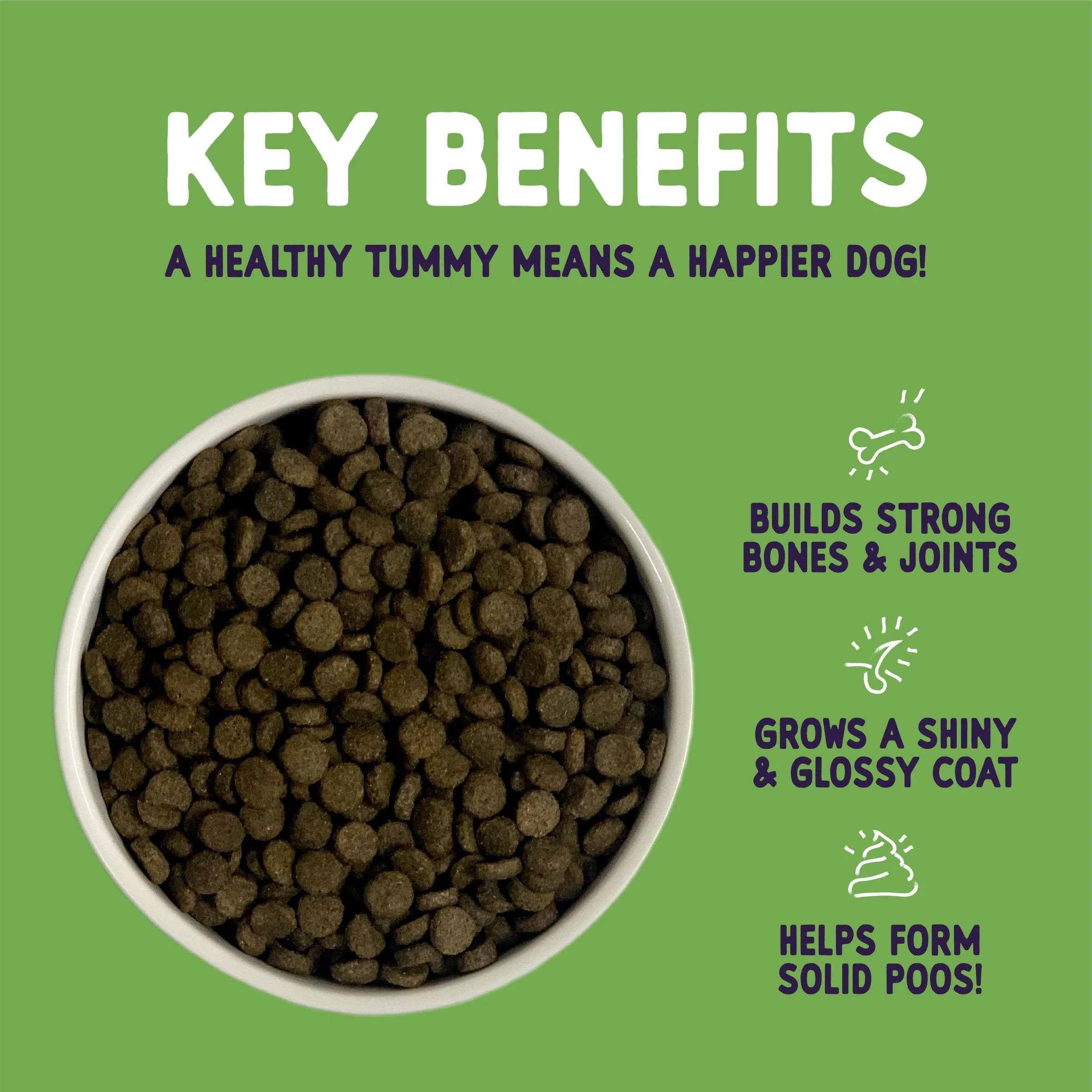 Burgess Sensitive Hypoallergenic Adult Complete Dry Dog Food - Lamb & Rice - Image 6