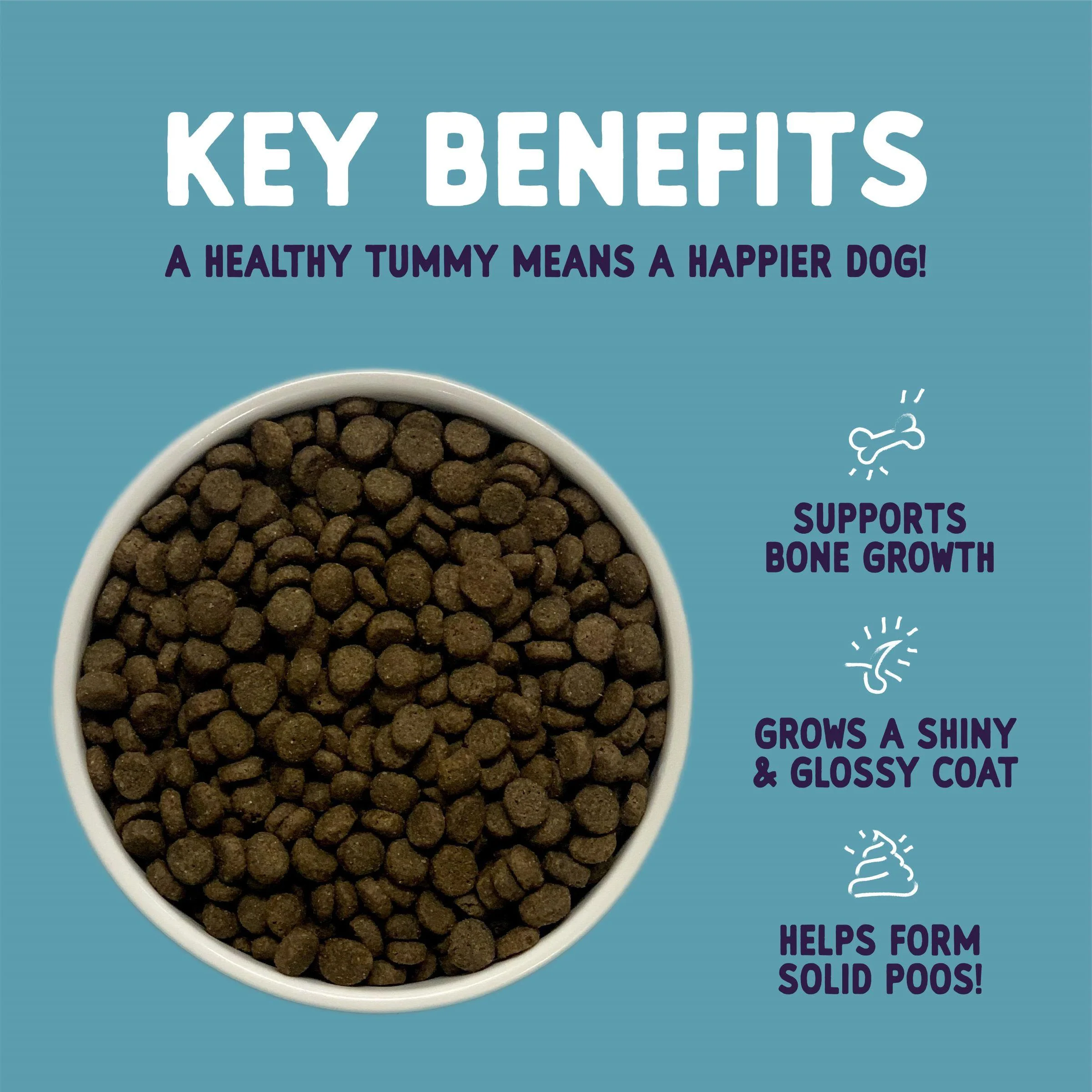 Burgess Sensitive Puppy Hypoallergenic Turkey & Rice Dry Dog Food - Image 3