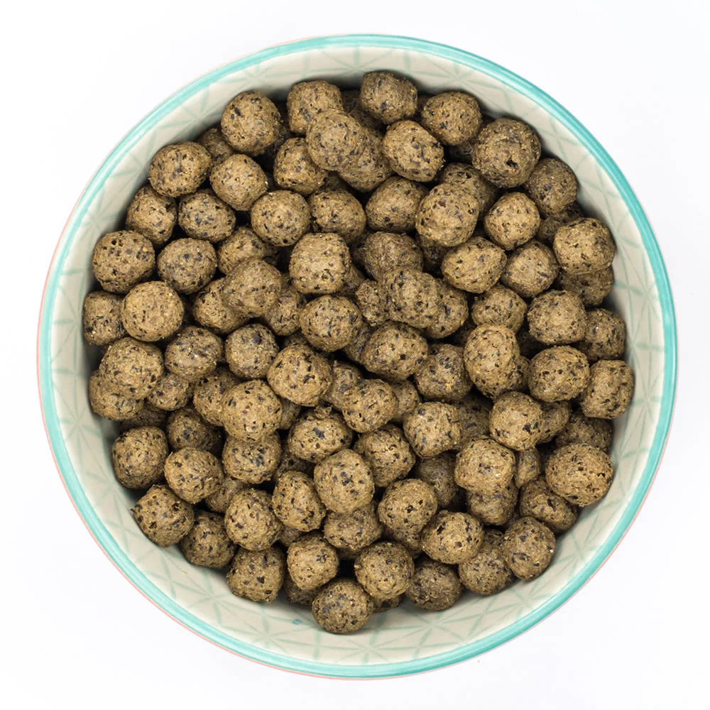 Burns Free From Adult Duck and Potato Dry Dog Food - Image 5