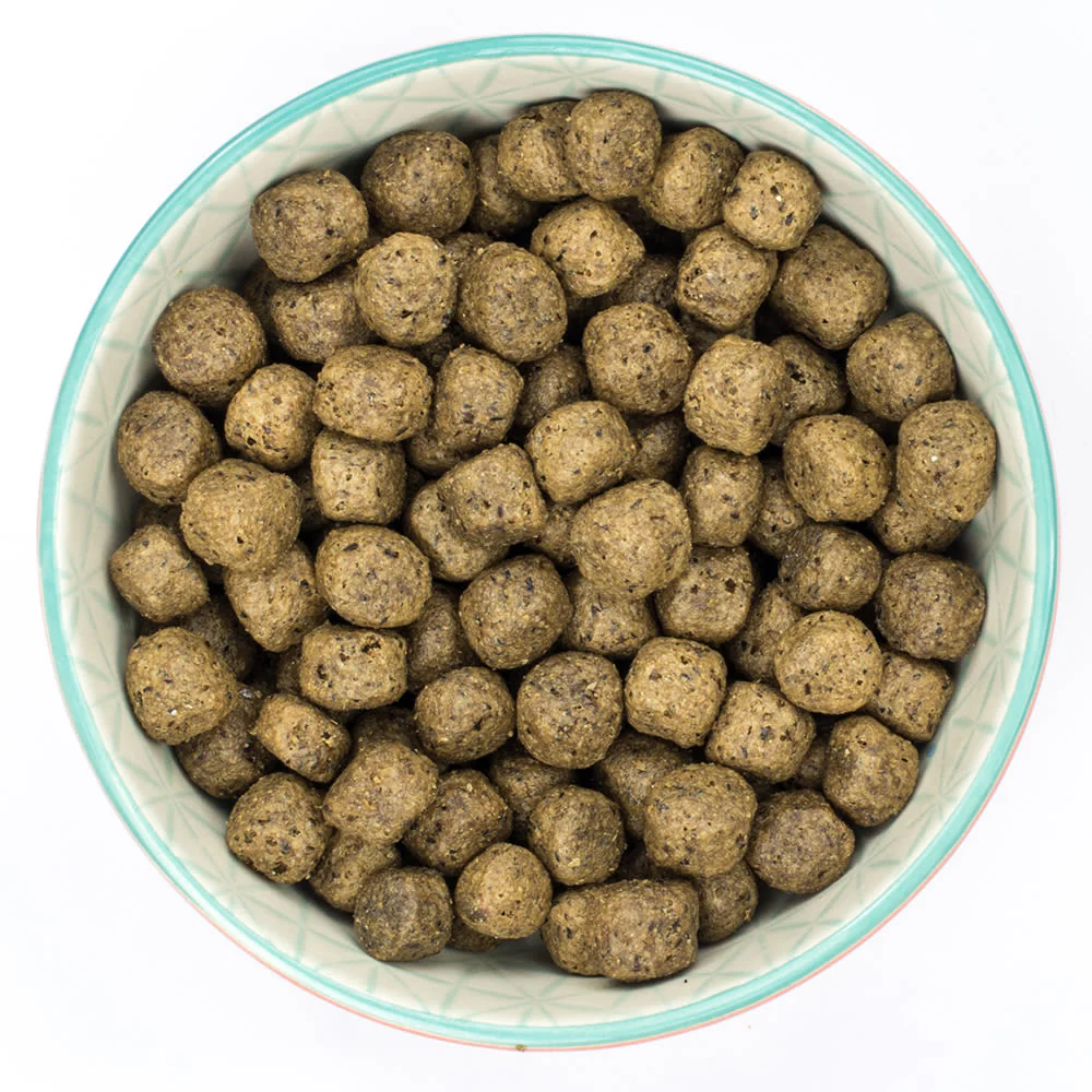 Burns Free From Puppy Duck and Potato Dry Dog Food - Image 5