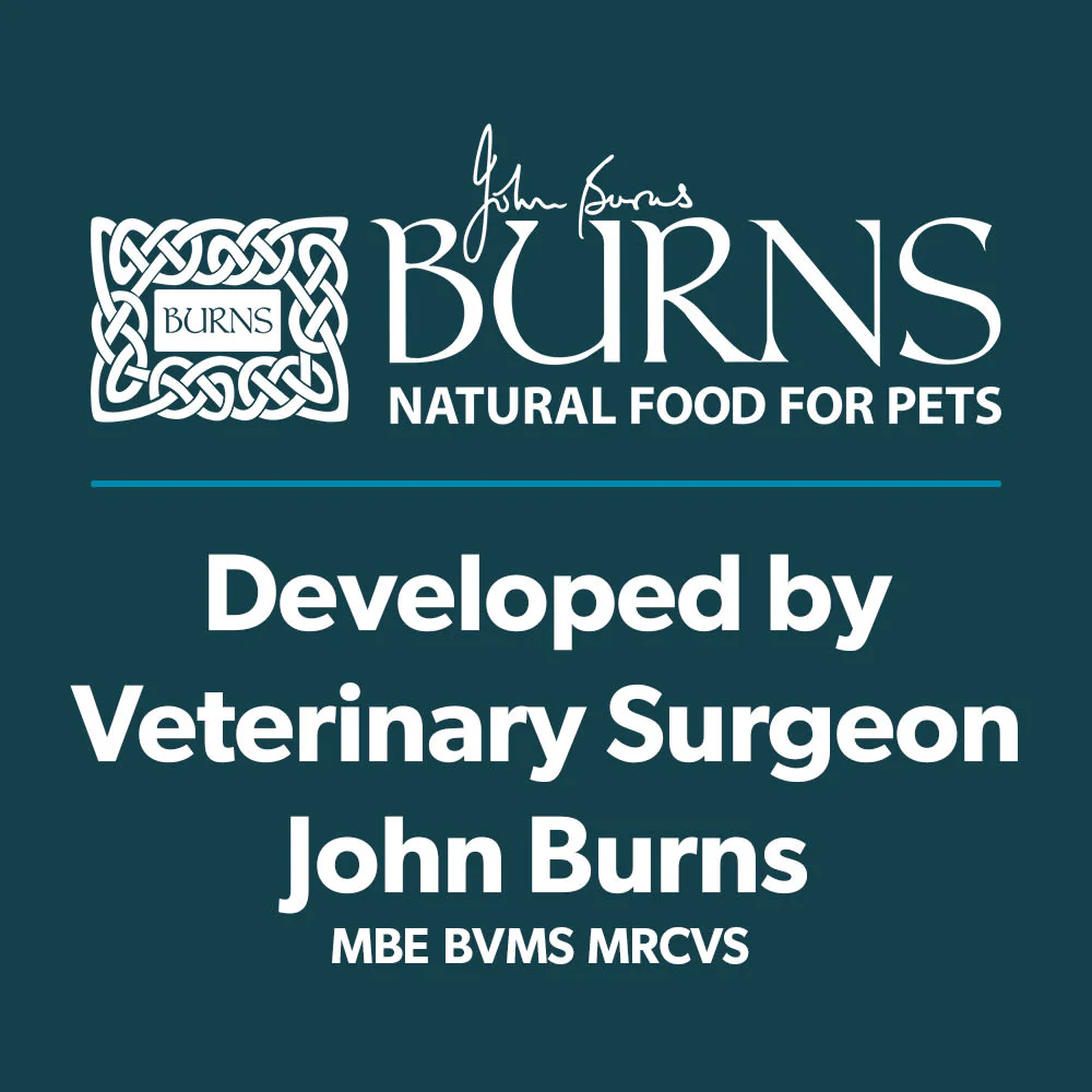 Burns Grain-free Sensitive Adult & Senior Dry Dog Food - Turkey & Potato - Image 14