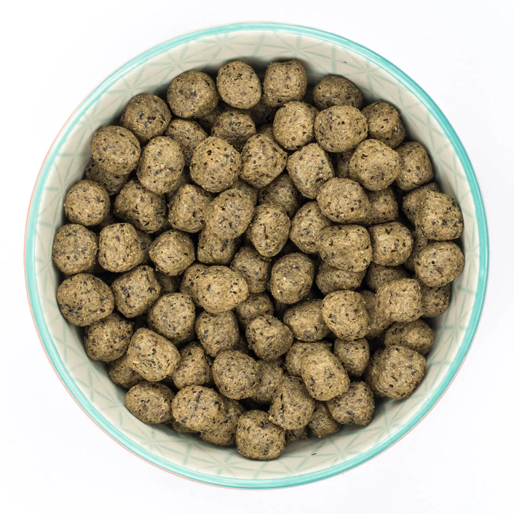 Burns Grain-free Sensitive Adult & Senior Dry Dog Food - Turkey & Potato - Image 5