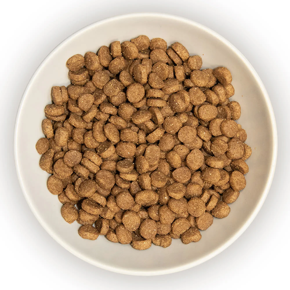 Burns Kitten Dry Cat Food - Chicken & Rice - Image 4