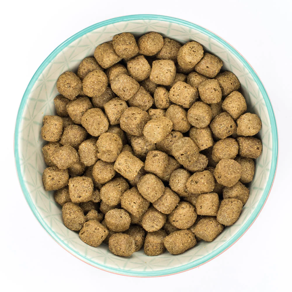Burns Medium and Large Senior+ Dry Dog Food - Chicken & Brown Rice - Image 5