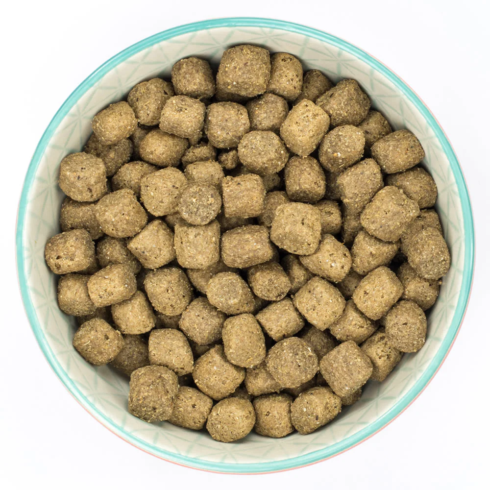 Burns Original Adult Dry Dog Food - Lamb & Rice - Image 6