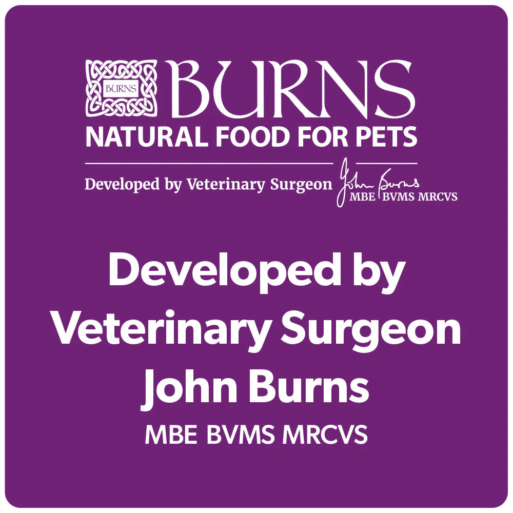 Burns Original Adult/Senior Dry Cat Food - Chicken & Brown Rice - Image 12