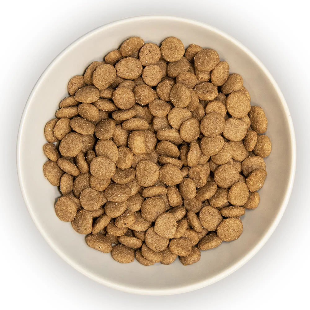Burns Original Adult/Senior Dry Cat Food - Chicken & Brown Rice - Image 4